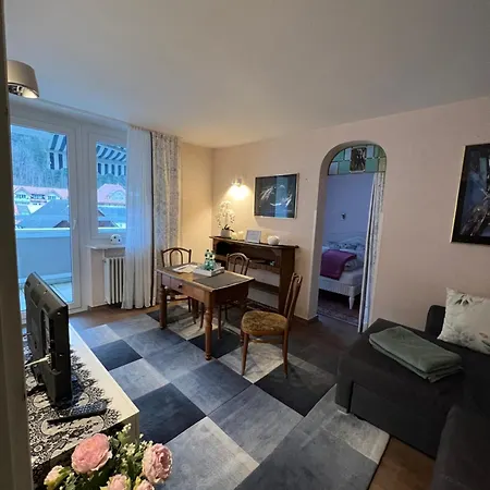 Auszeit Im Schoenen Hochschwarzwald Apartamento St. Blasien